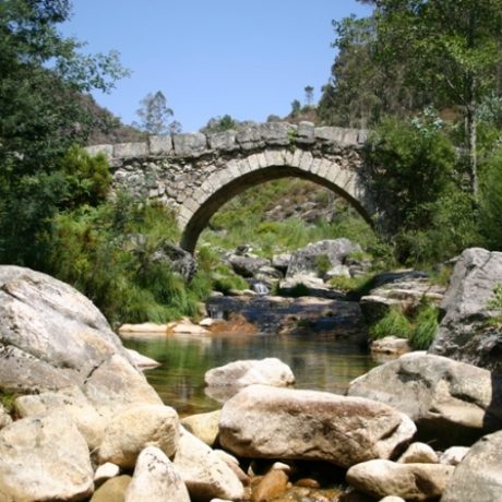 ponte-rio-ave.jpg